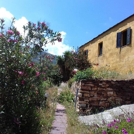 Ikarian Centre - Accommodation & Mountain Hiking Evdilos  Luaran gambar