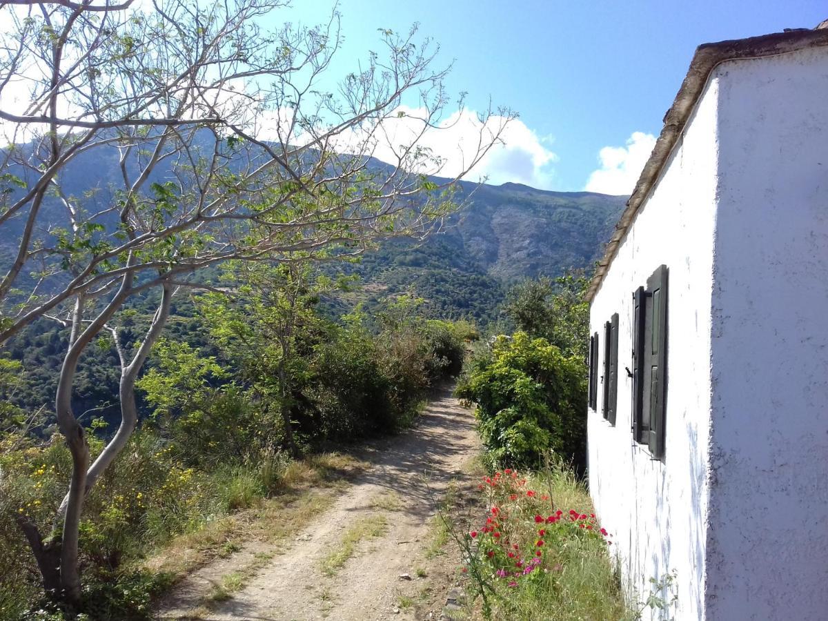 Ikarian Centre - Accommodation & Mountain Hiking Evdilos  Luaran gambar