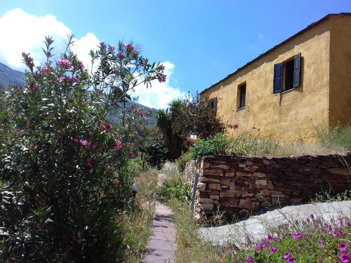 Ikarian Centre - Accommodation & Mountain Hiking Evdilos  Luaran gambar