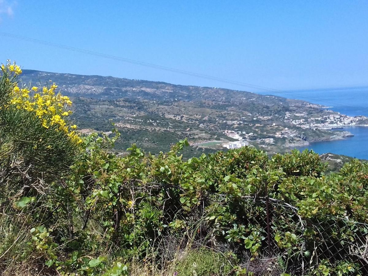 Ikarian Centre - Accommodation & Mountain Hiking Evdilos  Luaran gambar