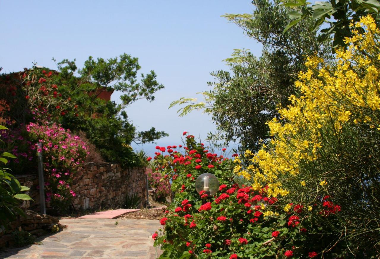 Ikarian Centre - Accommodation & Mountain Hiking Evdilos  Luaran gambar