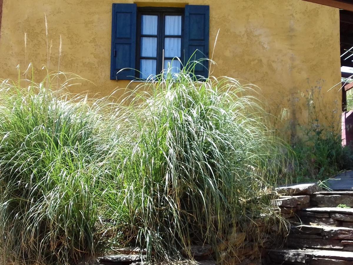Ikarian Centre - Accommodation & Mountain Hiking Evdilos  Luaran gambar